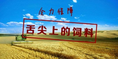 飼料廠廢氣治理專家分享魚粉的營養(yǎng)成分特點