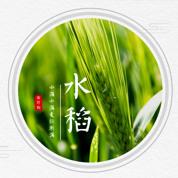 廢氣處理設(shè)備,工業(yè)除塵設(shè)備,工業(yè)廢氣處理,廢氣處理廠家