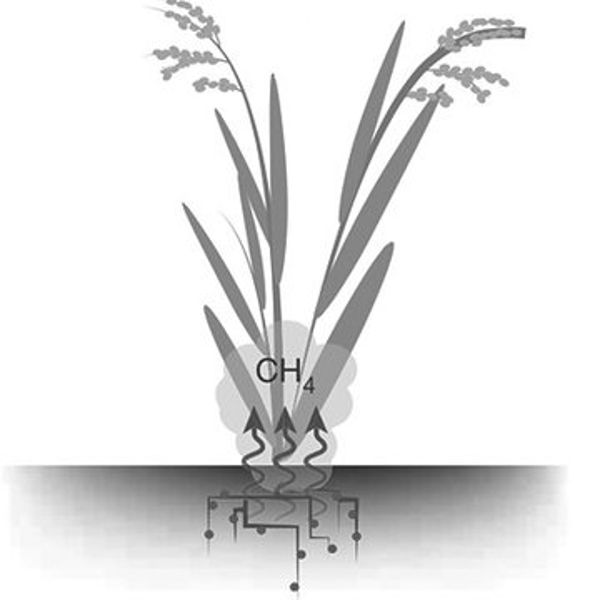 廢氣處理設(shè)備,工業(yè)除塵設(shè)備,工業(yè)廢氣處理,廢氣處理廠家